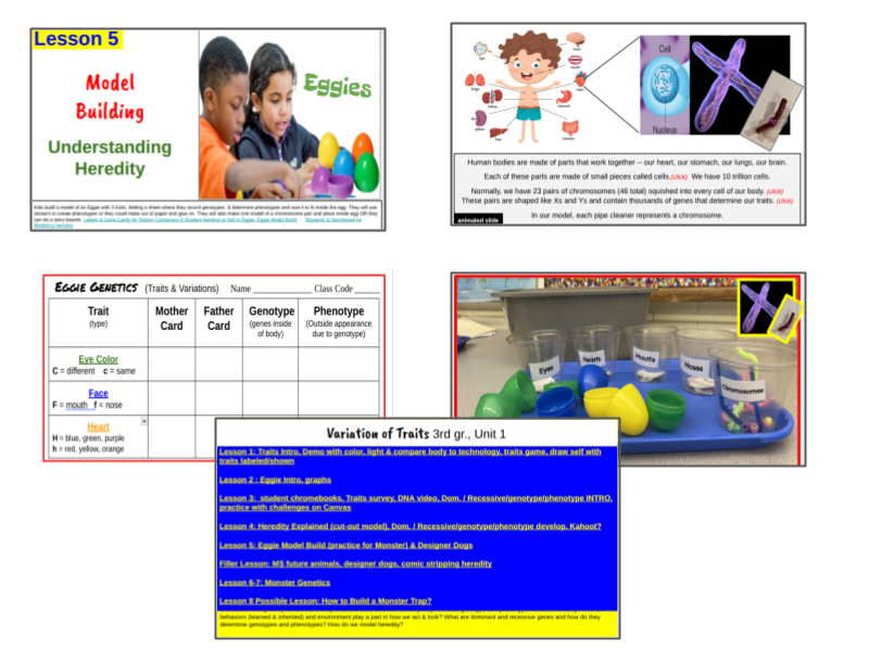 Sample STEM Lesson Plans